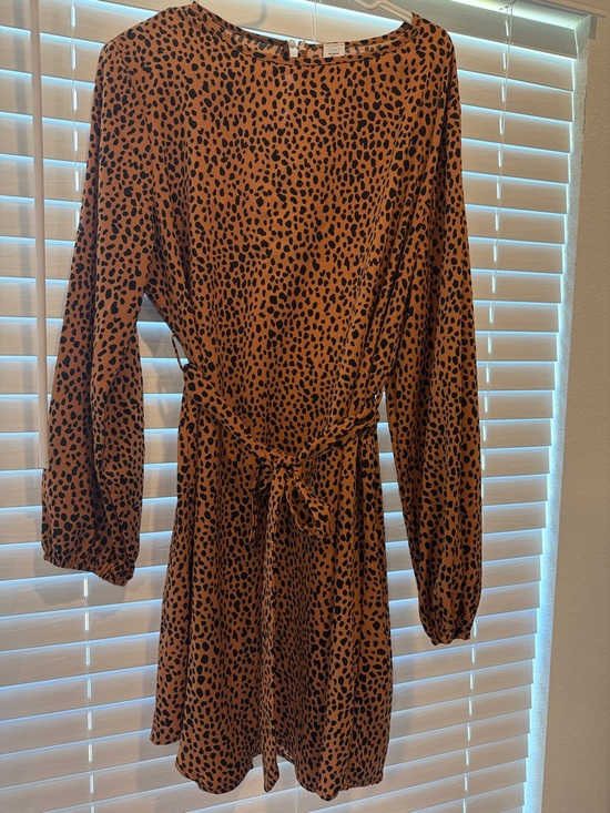 Dresses & Skirts - Leopard Print Tie-Waist Dress - Rust & Black